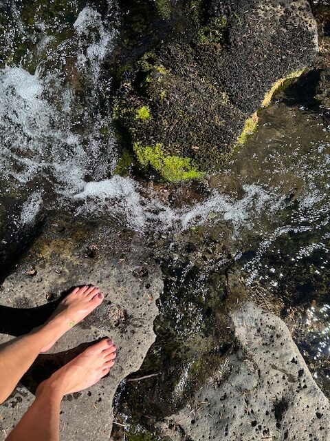 in the meadow before the lake